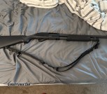 12g shotgun
