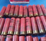 Shotgun Shells