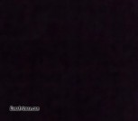 1000020737