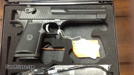 IMI Desert Eagle .44Mag,1
