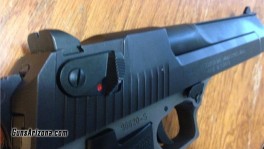 Isreal Weapon Industries Desert Eagle.6