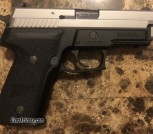 p229-1