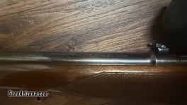 IMG_0736