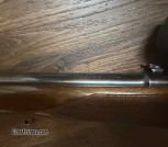 IMG_0736