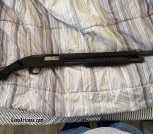 12 gauge 