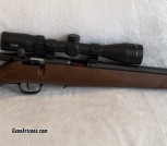 SAVAGE 93R17