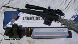 SPRINGFIELD ARMORY M1A.1