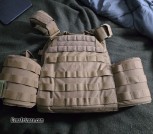 Plate carrier with composite plates