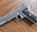 Custom Colt Government 1911 Stainless .45 ACP