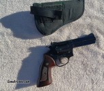 Amadeo Rossi 357 Mag