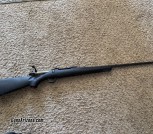 Ruger American .30-06