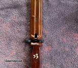 IMG_7897