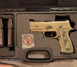 Sig Sauer P320 AXG scorpion