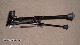 Bipos-2