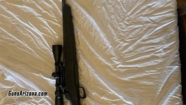 Guns 10