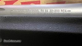 IMG_1748