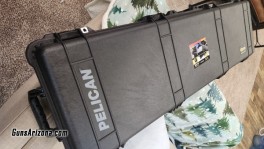 Pelican1