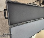 Pelican2