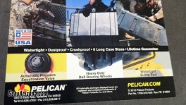 Pelican3