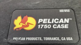 Pelican4