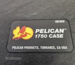 Pelican4