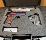 Sig Saur p238 RAINBOW