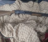 Savage Arms 12 Gauge