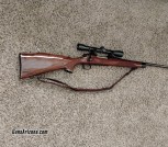 Remington 700