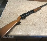 Springfield Shotgun
