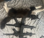 ARP 556 & 300BLK