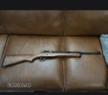 Ruger mini 14 / mini 30-(twins)