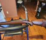 Springfield 03-A3 Sporter