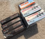 308 Ammos