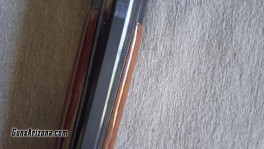 1000002157