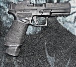 Springfield Echelon 
