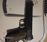 Springfield armory 1911 professional 45acp
