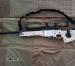 Accuracy International AW Sniper & U.S. Optics scope
