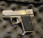 AMT Back Up SA .380