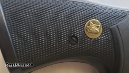 SMITH WESSON RETAKE PICTURE 6