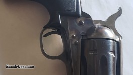 COLT SINGLE ACTION ARMY .38 SPECIAL PICT 6