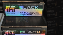Ammo (2)