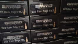 Ammo (3)