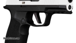 P365 XFreedom (4)