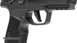 Sig P22 TB (1)