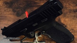 Sig P22 TB (3)