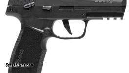 Sig P22 TB (4)