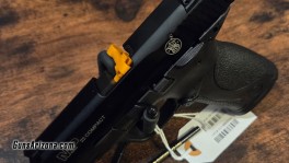 SW MP22 (1)