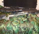 Custom M1A