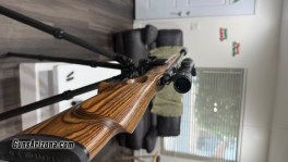 IMG_1161