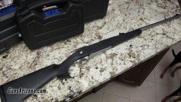 Browning A-Bolt stainless stalker .375H&H 1